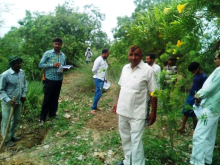 PLANTATION BALLIA