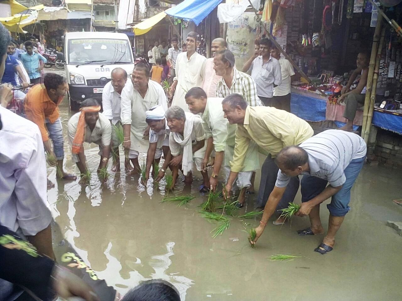 जल्पा मंदिर के सामने सड़क पर जलजमाव में धान रोप कर विरोध जताते भाजपाई