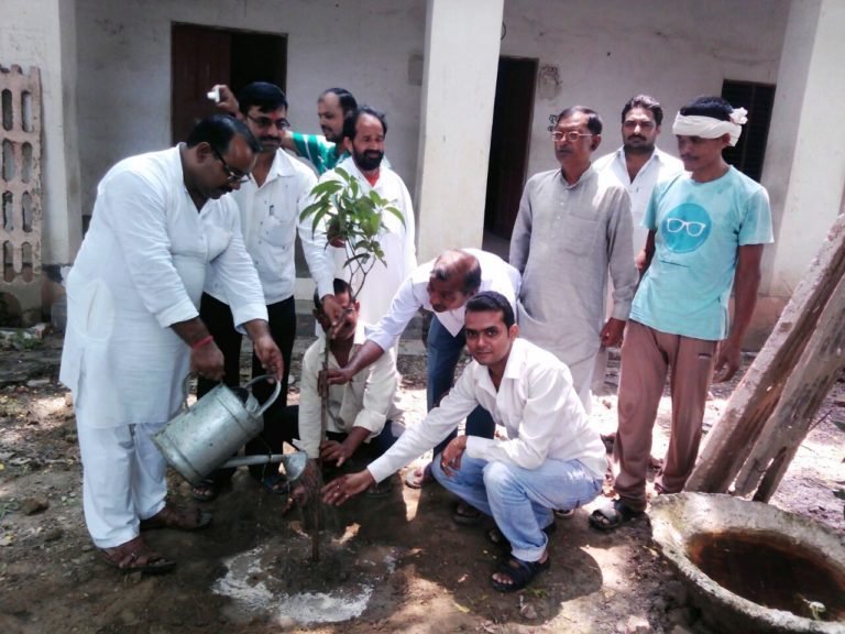 plantation in nagwa ballia