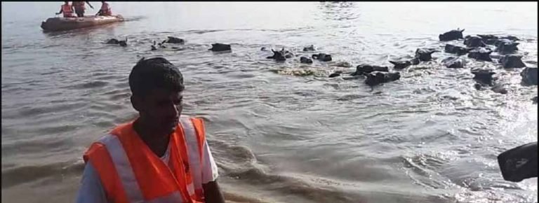 NDRF