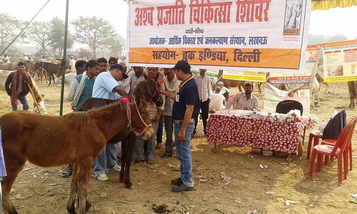 सुदिष्टपुरी मेले में अश्व चिकित्सा शिविर फोटो – बलिया लाइव 