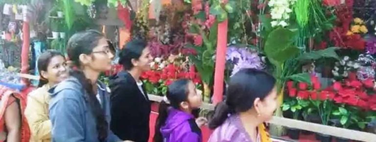GZP_MELA_2