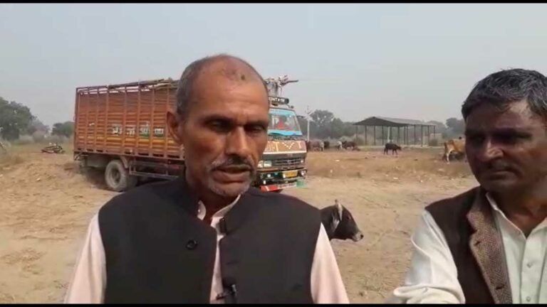 CattleFair_Bairiya