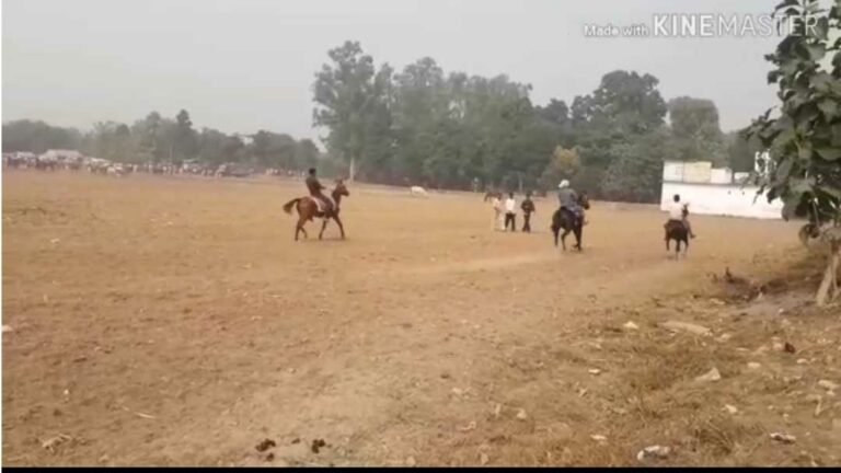 Horse-Fair_Sudishtapuri