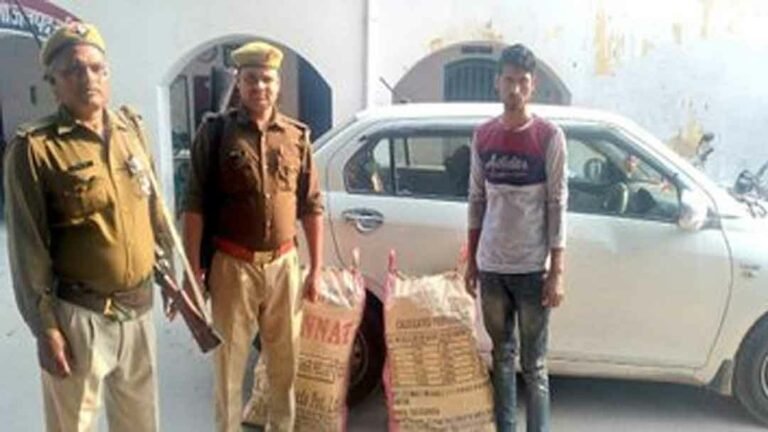 Poppy_Arrest_Ballia