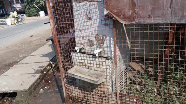 WPurifier_RaniganjBazaar