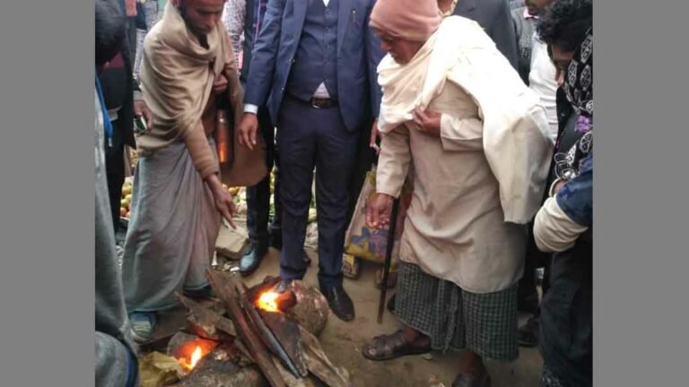 Firewood_Dubahar