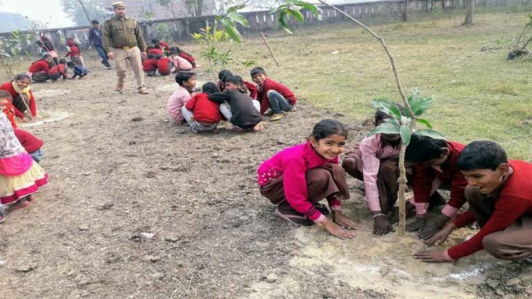 Plantation_Basudharpaah