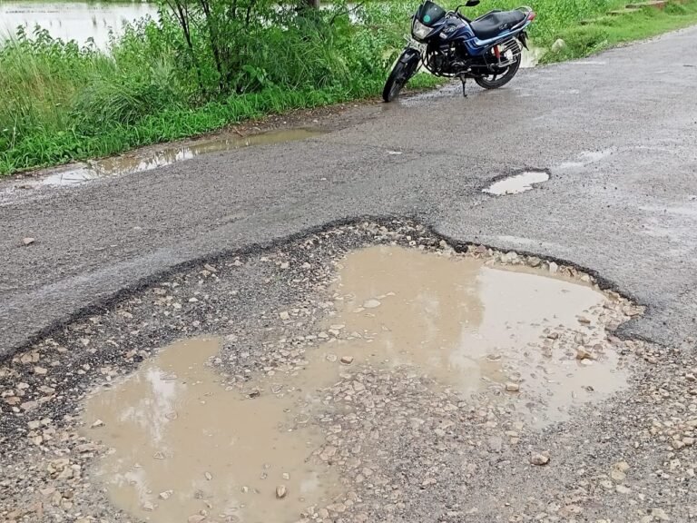 Road Death Nagara1