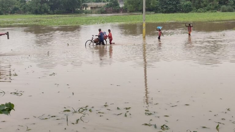 bariya flood 2