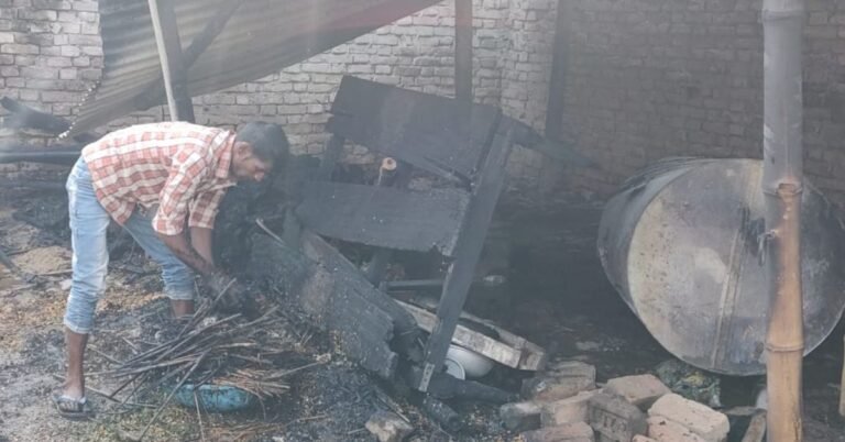 fire_cow injured