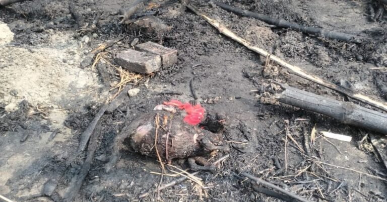 Hut caught fire, like ashes
