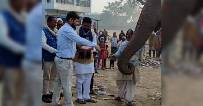 bsp candidate