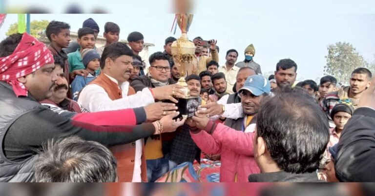 cricket winner teem