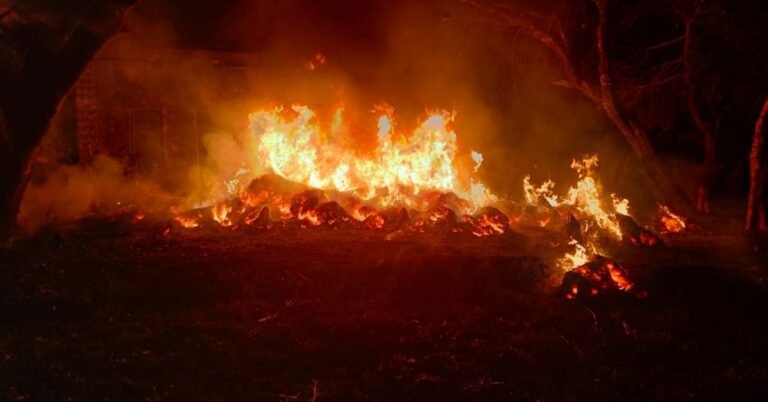 fire haldi