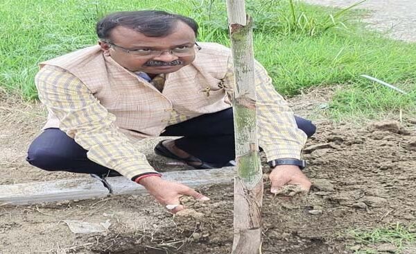 Plantation done in JNCU under the efficient leadership of Vice Chancellor Prof. Sanjit Kumar Gupta