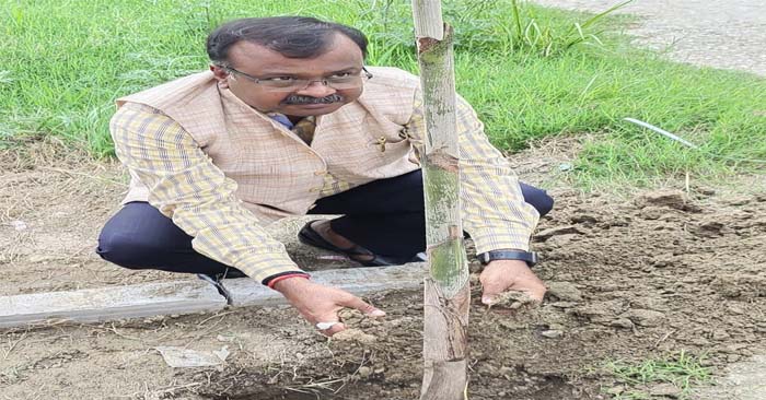 Plantation done in JNCU under the efficient leadership of Vice Chancellor Prof. Sanjit Kumar Gupta
