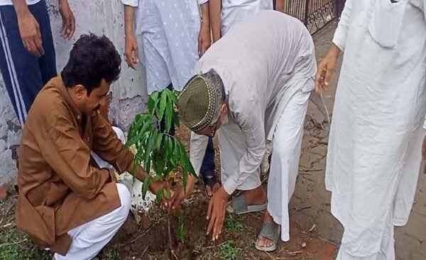 Tree plantation done at Dargah Hazrat Syed Shah Wali Qadri Sikandarpur Ballia