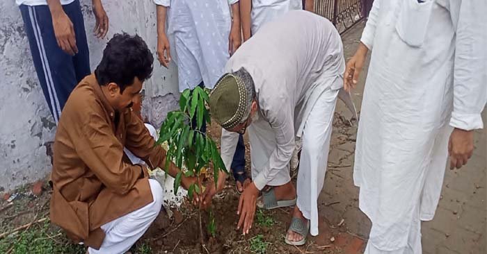 Tree plantation done at Dargah Hazrat Syed Shah Wali Qadri Sikandarpur Ballia