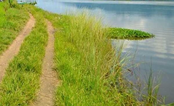 Death due to drowning in Tons river