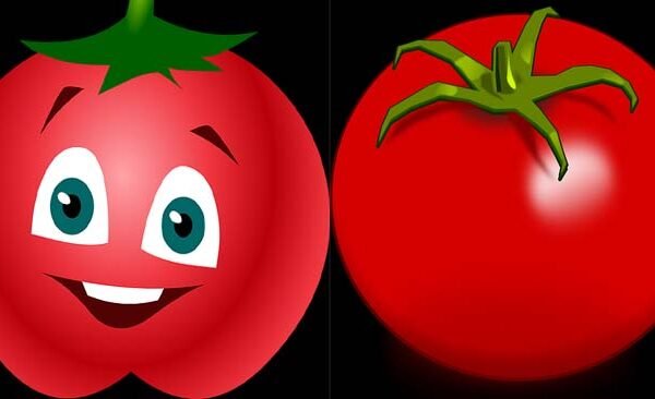 Wife left home due to tomato dispute