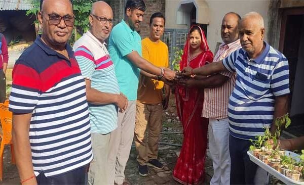 Taking the pledge of Nar Seva Narayan Seva, volunteers presented Tulsi plant from house to house