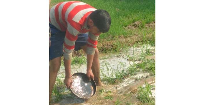 Ballia Live Special Report: Those who burn stubble will be monitored, action will be taken if stubble is burnt.