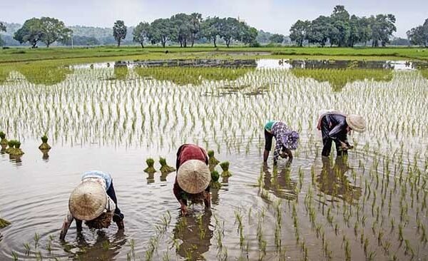 Know in this news what farmers should do to get the 15th installment of Prime Minister Kisan Samman Nidhi.