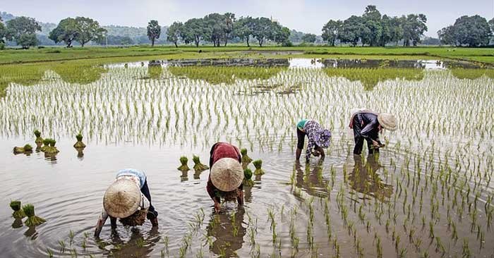 Know in this news what farmers should do to get the 15th installment of Prime Minister Kisan Samman Nidhi.