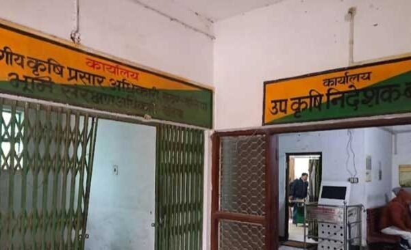 Good initiative by Agriculture Department, now farmers will get 50 percent discount on seeds
