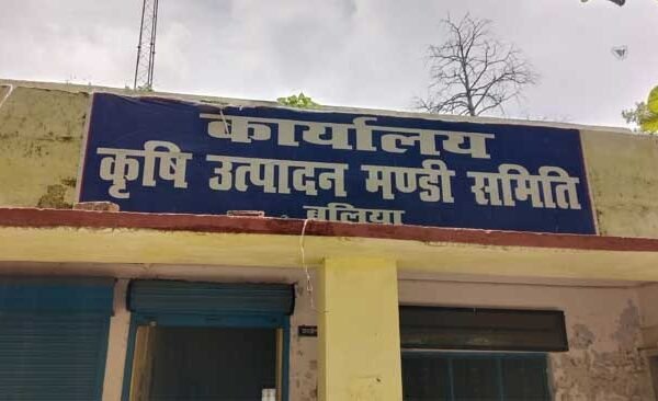 Pack house will be constructed in the market, increase in income of farmers