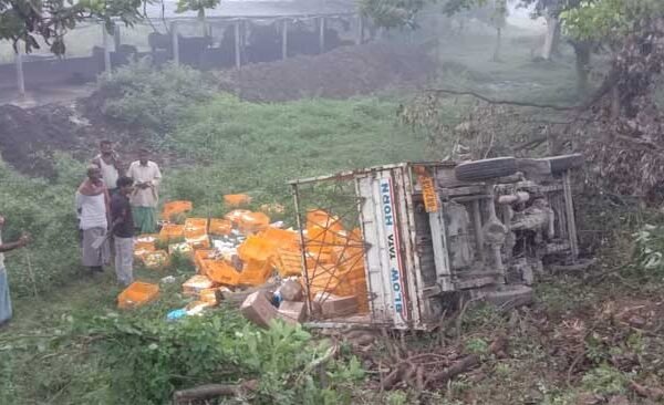 Pickup overturned in ditch 15 feet below, huge quantity of milk and curd lost