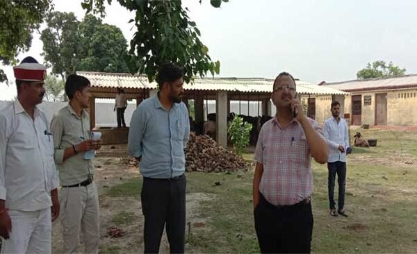 The District Magistrate did a surprise inspection of the temporary cow protection center located in village Baghewa.