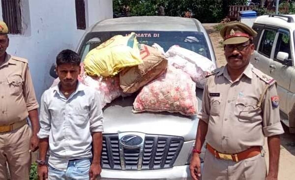 liquor recovered