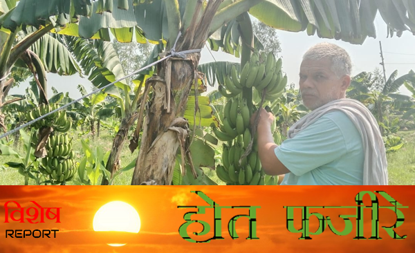 Ballia Live Special: Farmer changed his fortunes by leaving private job and farming, became a source of inspiration for people