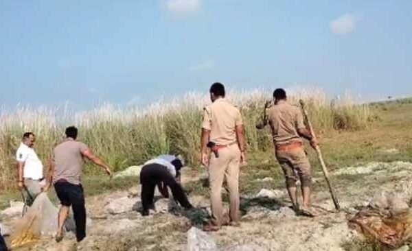 Police of Maniyar police station destroyed 30 quintals of Lahan along with breaking the distilleries of illegal liquor in Diara area.