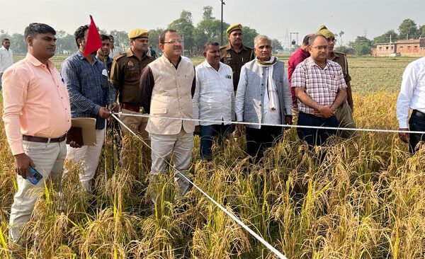 Crop cutting process completed under the supervision of District Magistrate