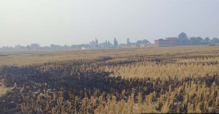 Action taken in Ballia on burning of stubble/crop waste