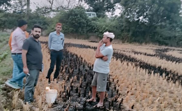 Action taken in Ballia on burning of stubble/crop waste