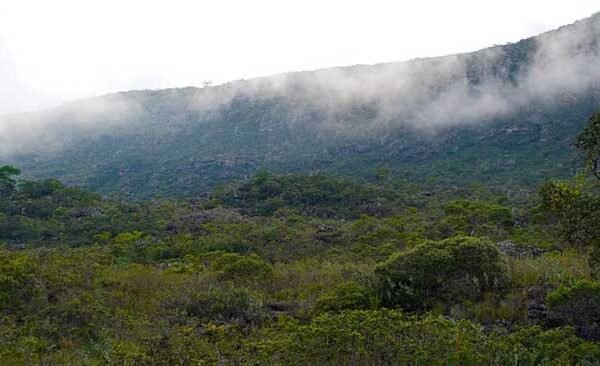 Change of weather, attack of winds with dense fog