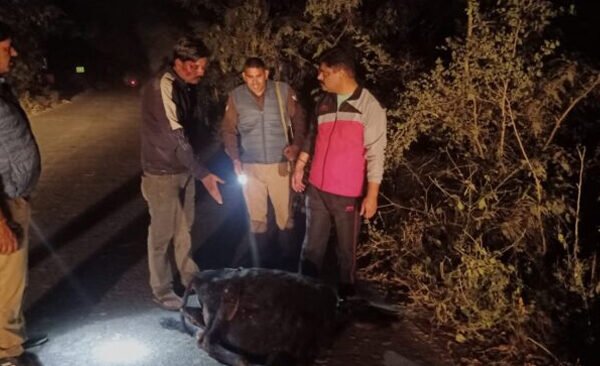 Police provided treatment to the injured young man who was unconscious.