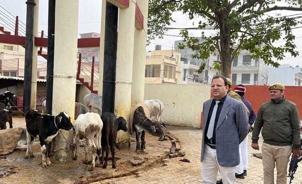 Surprise visit of cow shelter by DM