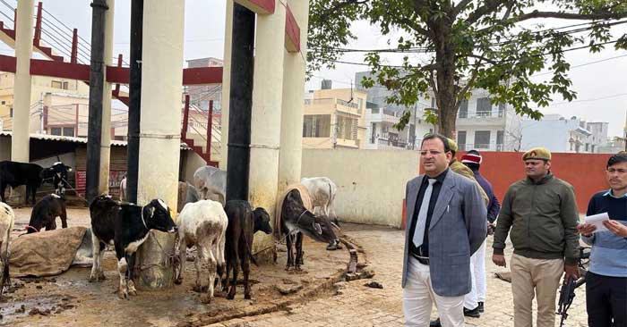 Surprise visit of cow shelter by DM