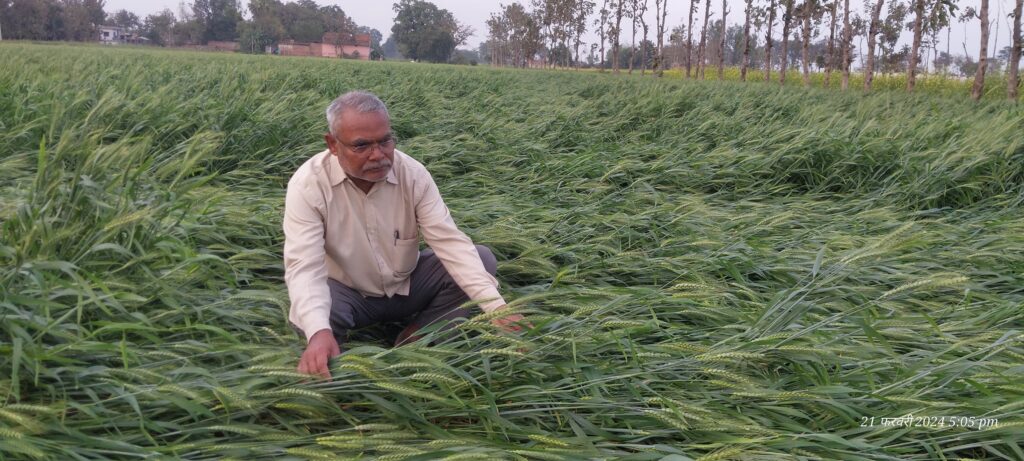 Food farmers suffered serious injuries due to sudden change in weather.