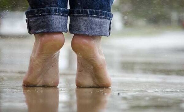 There may be rain with thunder and lightning in 20 districts of UP on February 28.