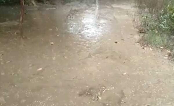 Intensified rain with thunder in Purvanchal districts - News of hail in Varanasi, Ghazipur