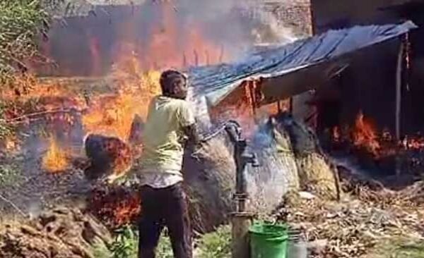 Two cattle burnt in fire in Dharmapura, six goats died