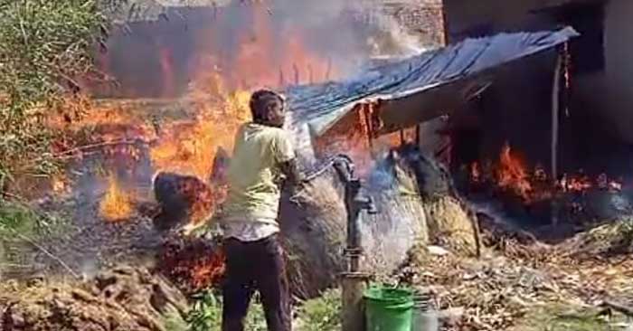 Two cattle burnt in fire in Dharmapura, six goats died