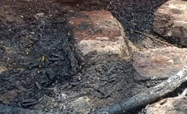 Fire broke out due to short circuit in Rajbhar colony of Tetarpur village, a teenage girl along with animals got burnt.