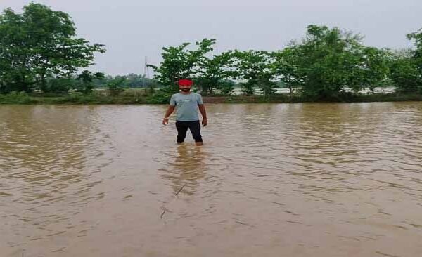 Watter Logging in Farm